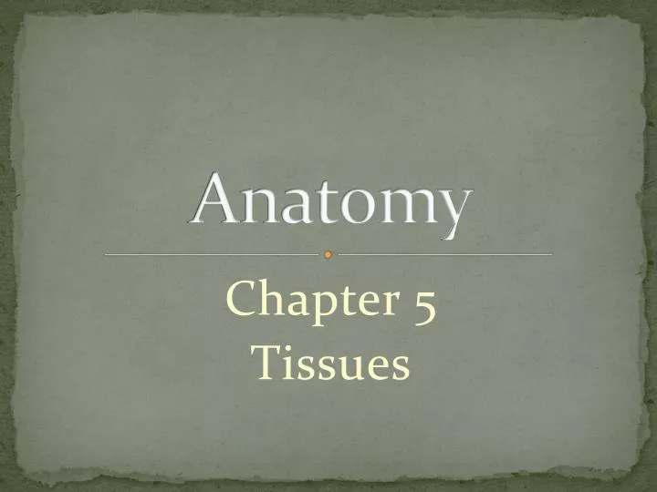 anatomy