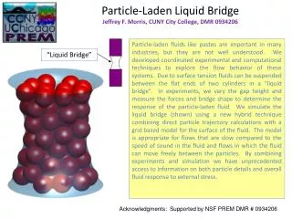 Particle-Laden Liquid Bridge Jeffrey F. Morris, CUNY City College, DMR 0934206