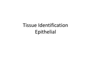 Tissue Identification Epithelial