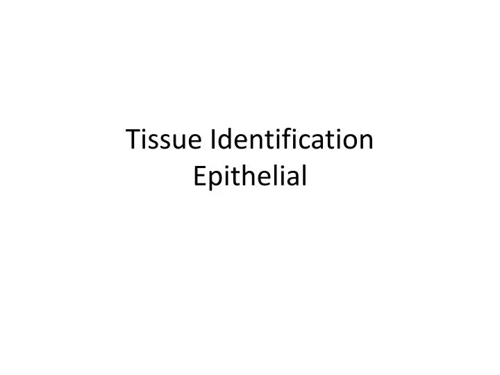 tissue identification epithelial