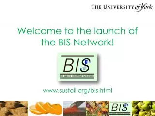 Welcome to the launch of the BIS Network!