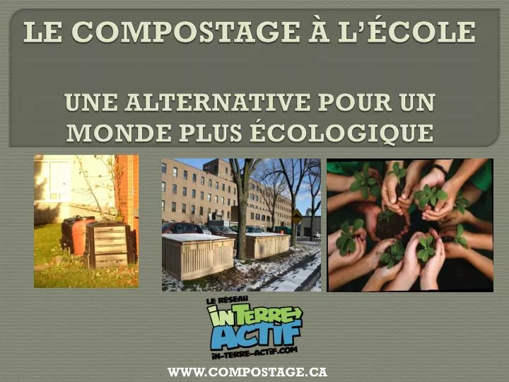 le compostage l cole une alternative pour un monde plus cologique