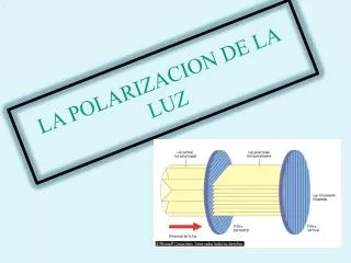 la polarizacion de la luz