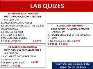 LAB QUIZES