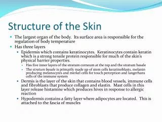 structure of the skin