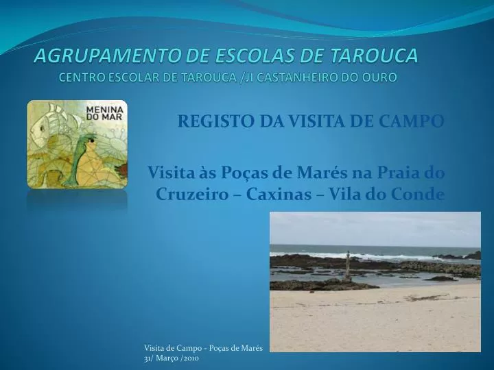 registo da visita de campo visita s po as de mar s na praia do cruzeiro caxinas vila do conde