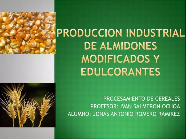 produccion industrial de almidones modificados y edulcorantes