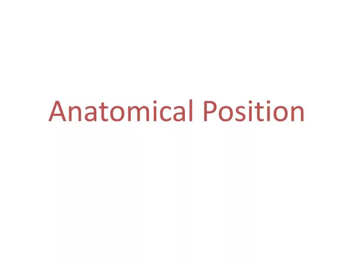 anatomical position