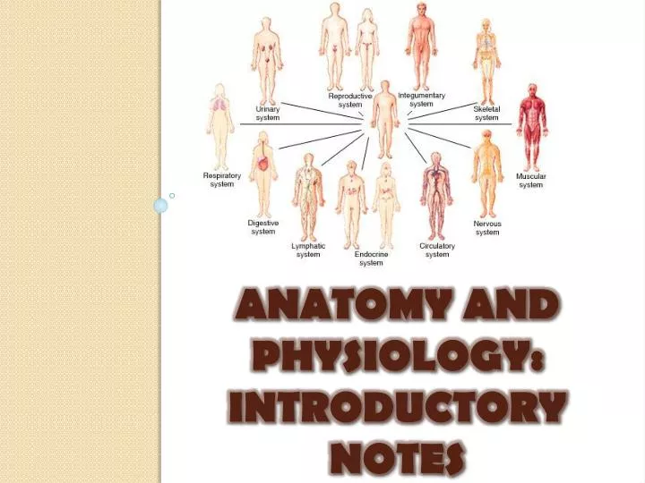 anatomy and physiology introductory notes
