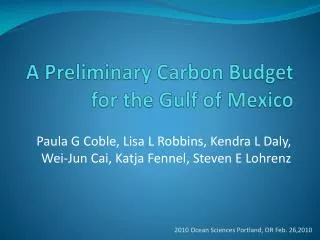 A Preliminary Carbon Budget for the Gulf of Mexico