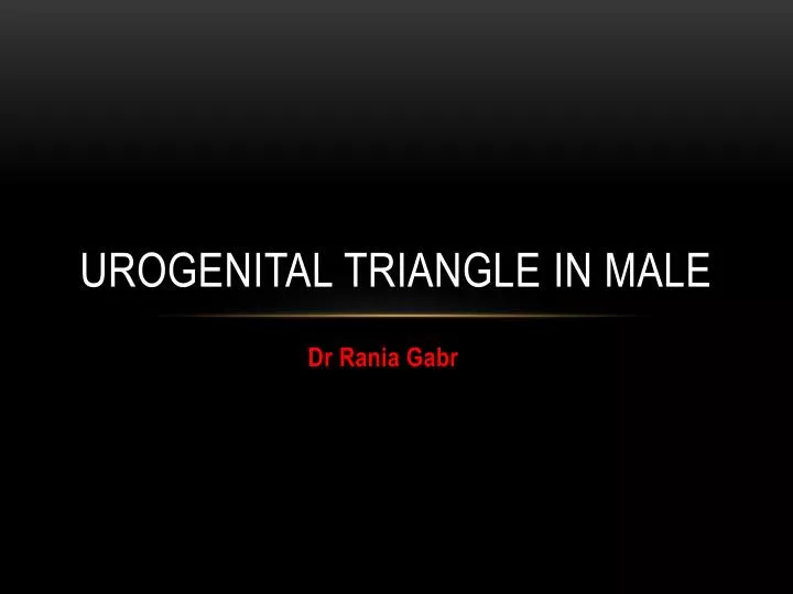 urogenital triangle in male