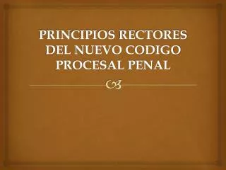 principios rectores del nuevo codigo procesal penal
