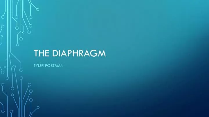 the diaphragm