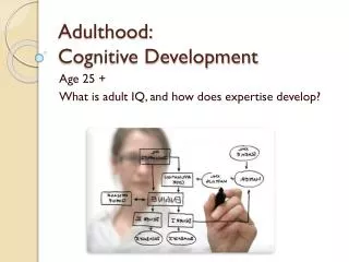 Adulthood: Cognitive Development