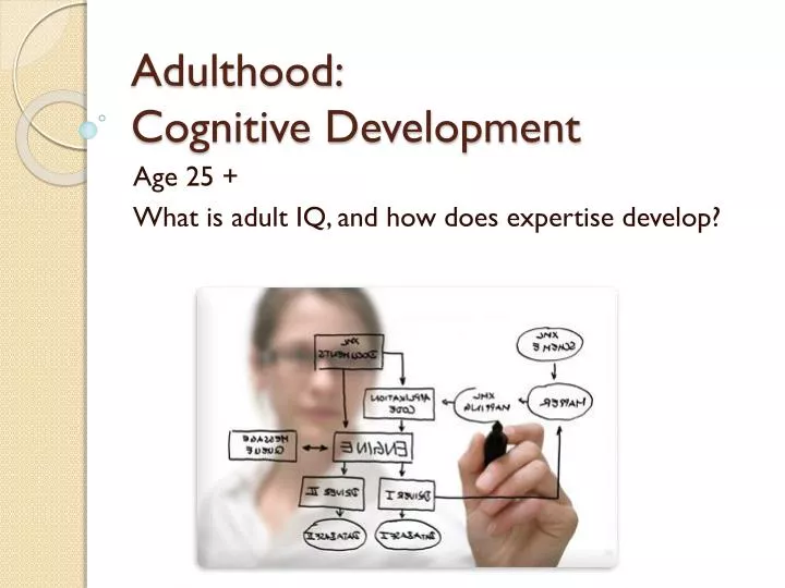 adulthood cognitive development