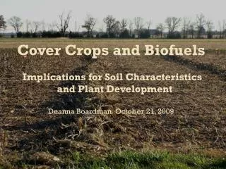Cover Crops and Biofuels Implications for Soil Characteristics and Plant Development