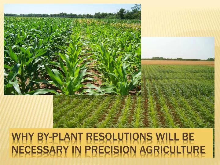 why by plant resolutions will be necessary in precision agriculture