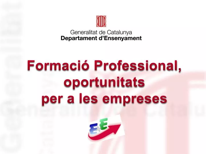 formaci professional oportunitats per a les empreses