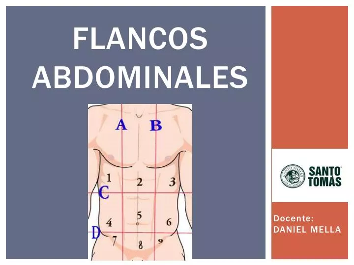 flancos abdominales