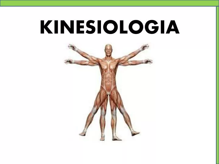kinesiologia