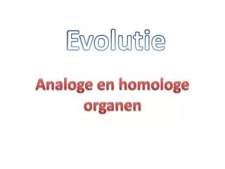 Analoge en homologe organen
