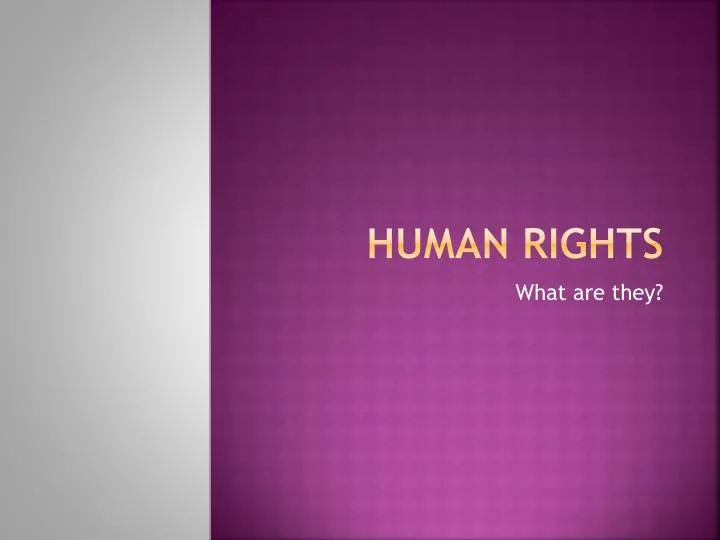 human rights