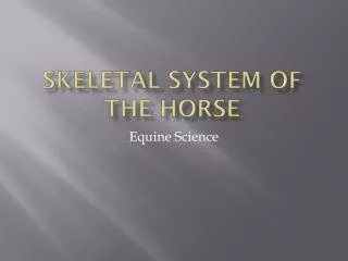 Skeletal System of the Horse