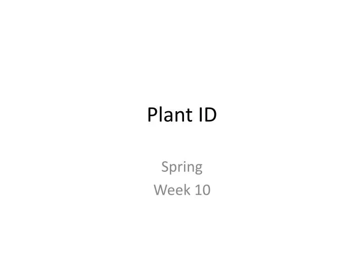 plant id