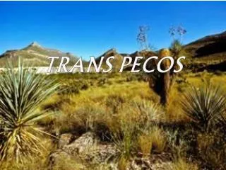 Trans Pecos