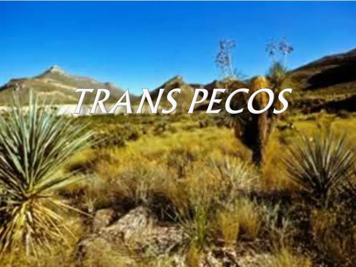trans pecos