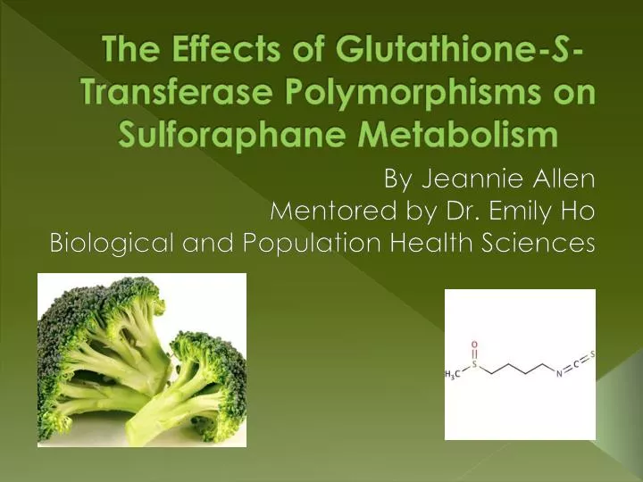 the effects of glutathione s transferase polymorphisms on sulforaphane metabolism