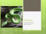 Pythons - slide 1