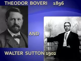 Theodor boveri	1896 			and walter sutton 1902