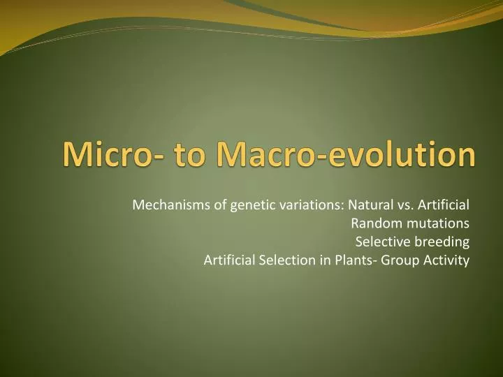 micro to macro evolution