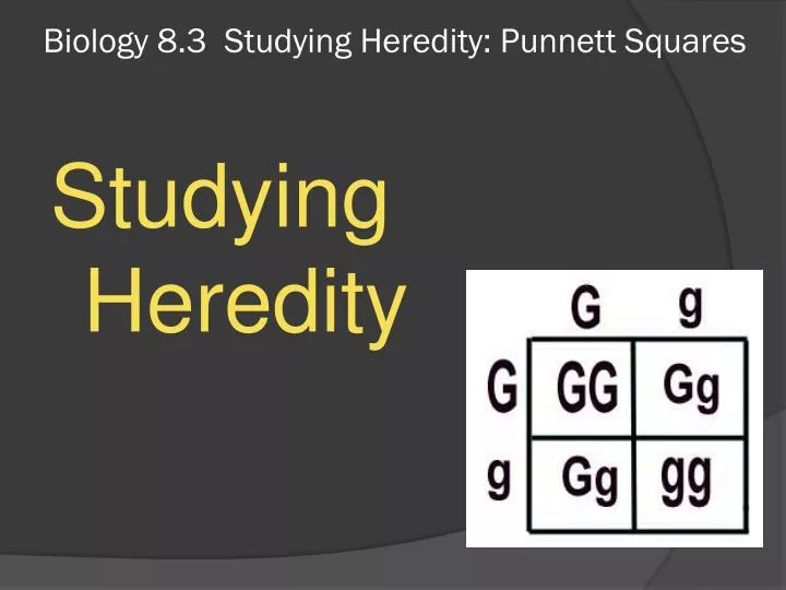 biology 8 3 studying heredity punnett squares