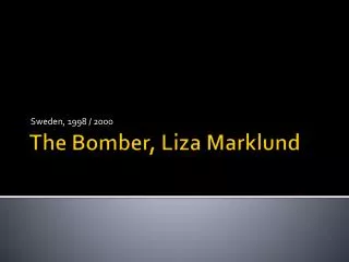 The Bomber, Liza Marklund