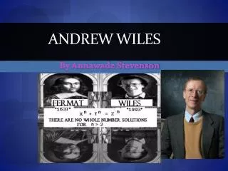 Andrew Wiles