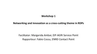 Workshop 1 Networking and innovation as a cross-cutting theme in RDPs