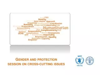 Gender and protection session on cross-cutting issues