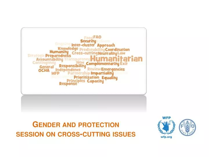 gender and protection session on cross cutting issues