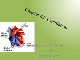 Chapter 42: Circulation