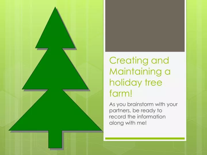creating and maintaining a holiday tree farm