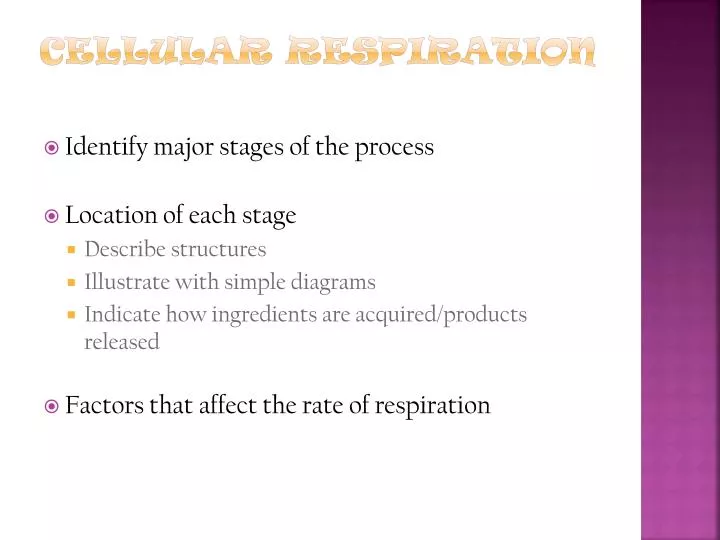 cellular respiration