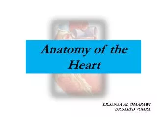 Anatomy of the Heart