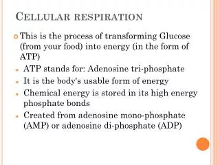 Cellular respiration