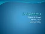 Echinoderms - slide 1