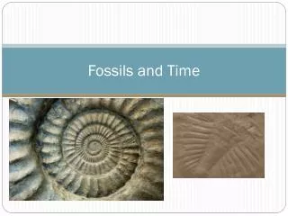 Fossils and Time
