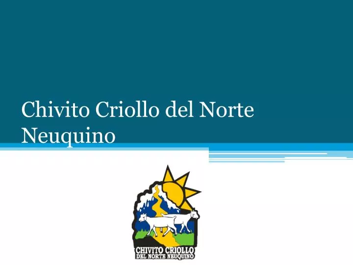 chivito criollo del norte neuquino