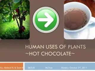 Human Uses of Plants ~Hot Chocolate~