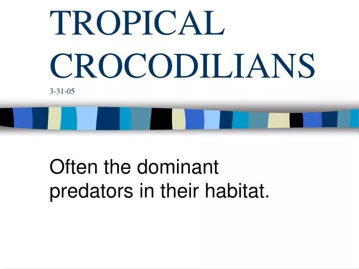 tropical crocodilians 3 31 05